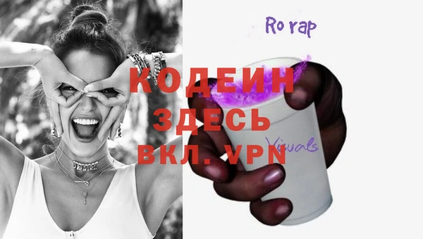 индика Покачи