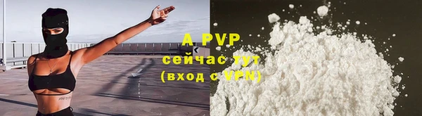 ешки Бердск