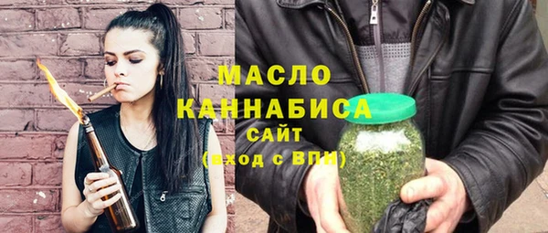 индика Покачи