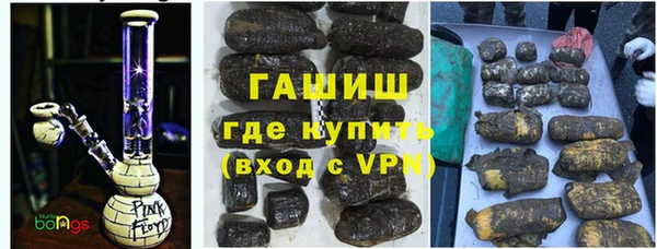 индика Покачи