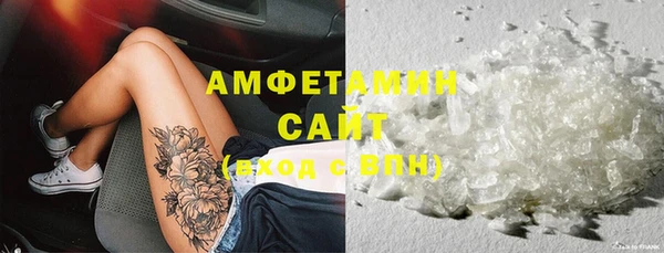 индика Покачи
