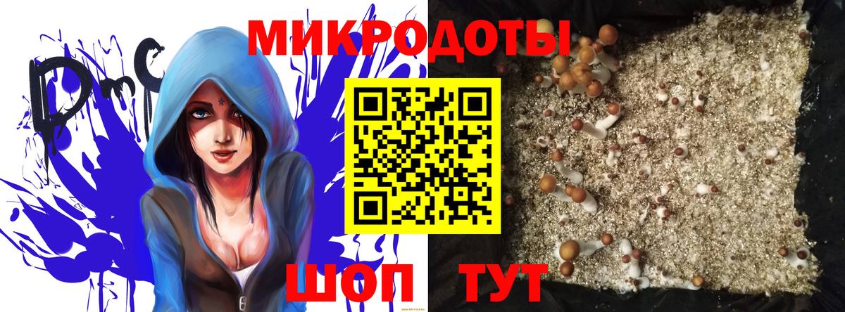 Псилоцибиновые грибы Psilocybe Луховицы