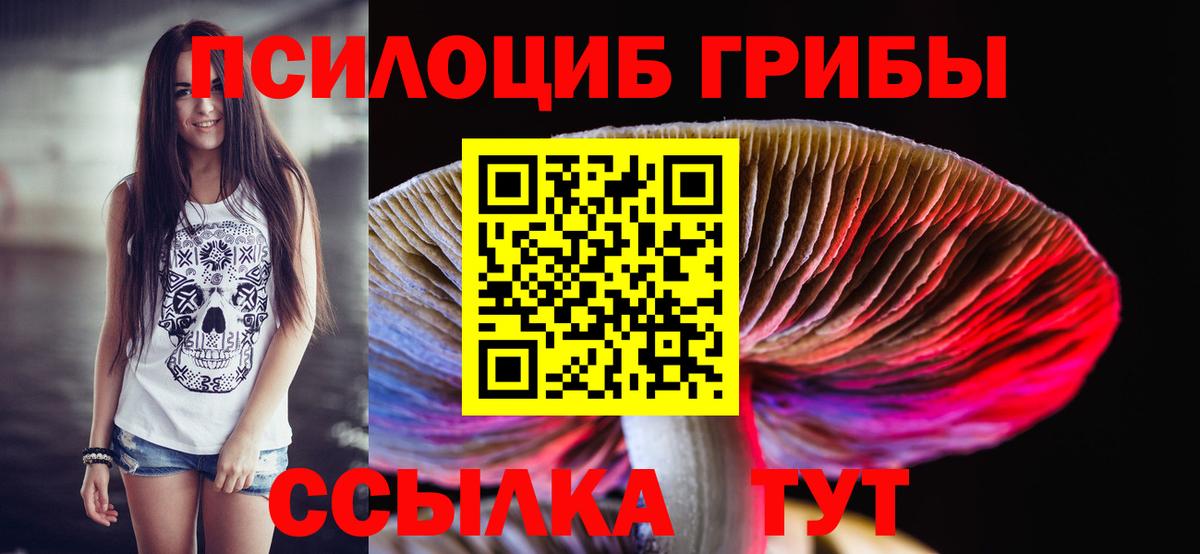 Галлюциногенные грибы прущие грибы  Псилоцибиновые грибы прущие грибы  Луховицы 